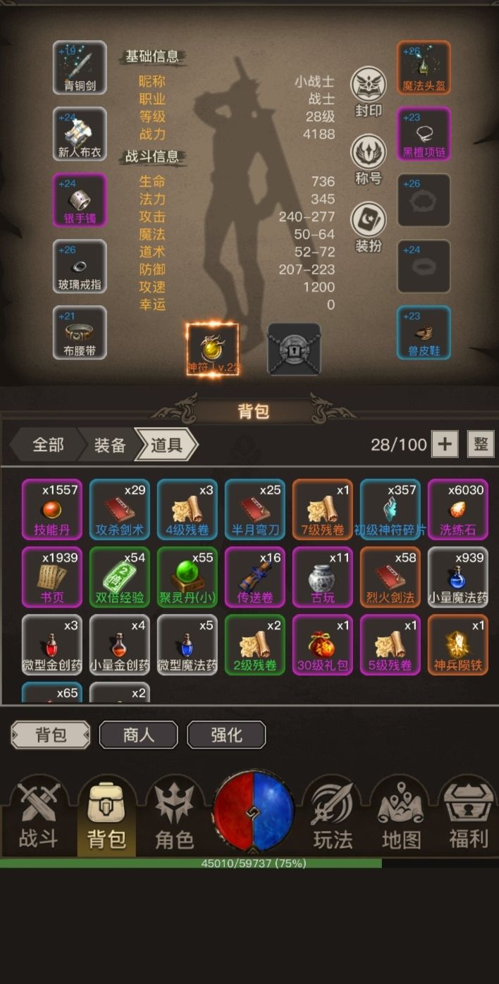 经典文字传奇游戏. 4
