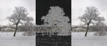 《寄生獸：灰色部隊》- 正式預告