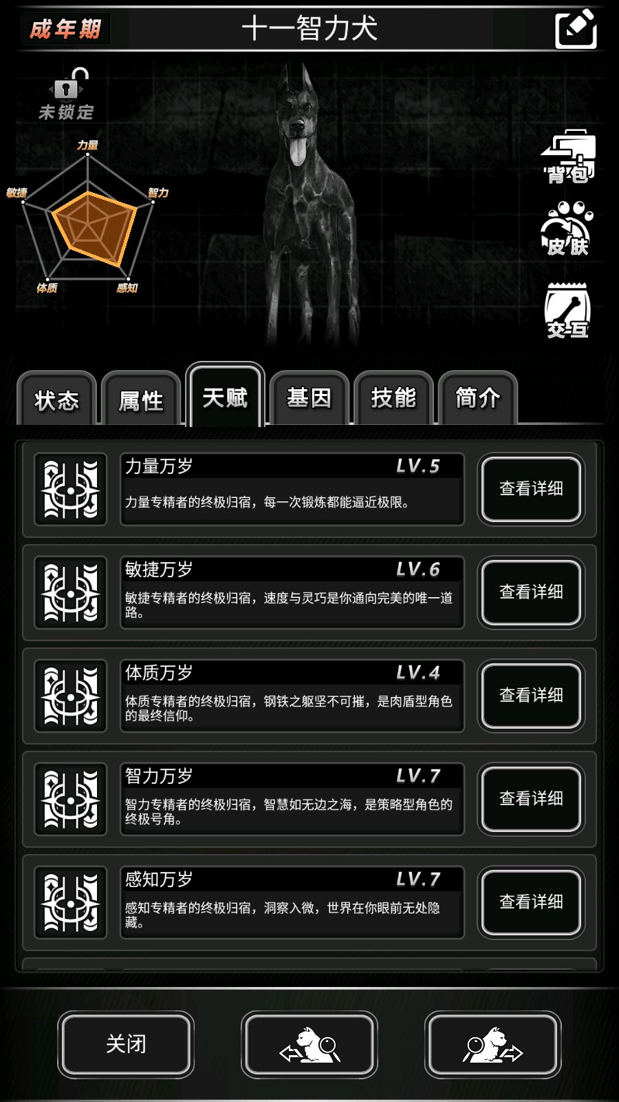 纪念下我的狗子 2