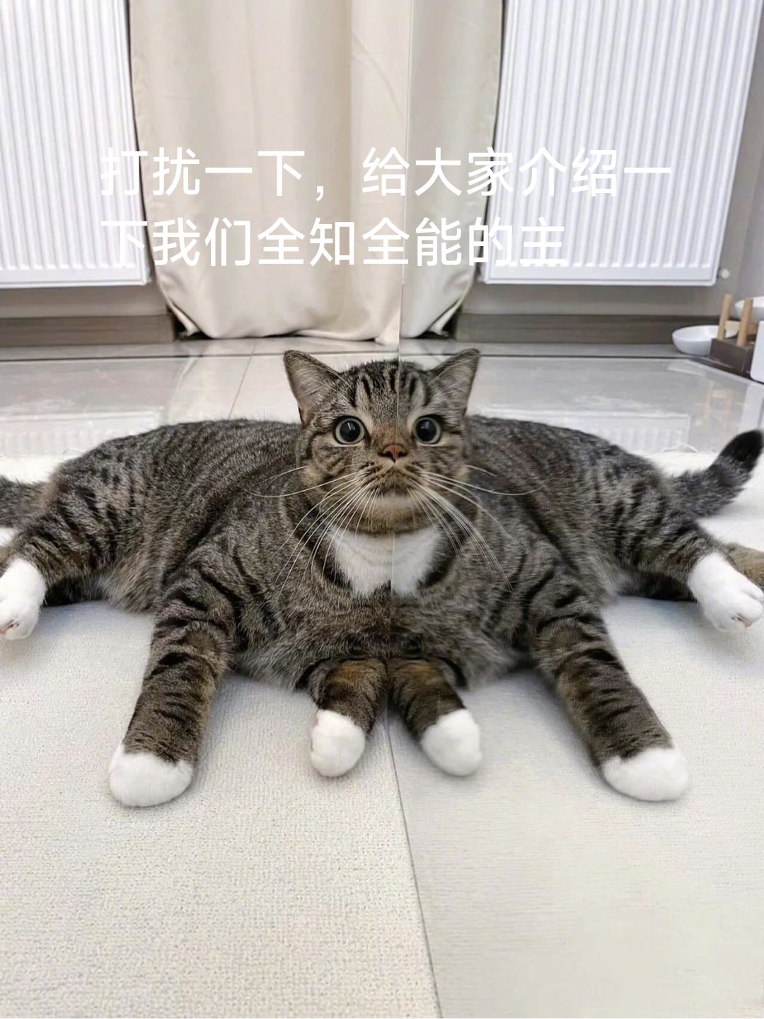 萌新求助 2
