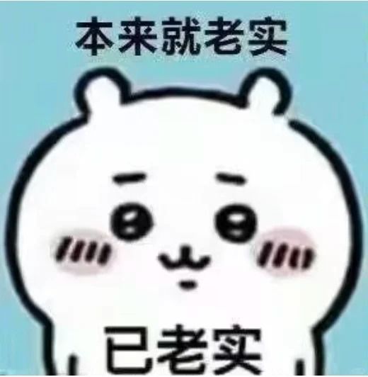 WEEK1满分作业（20251002）截图