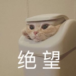 联机联机联机！！！！！截图