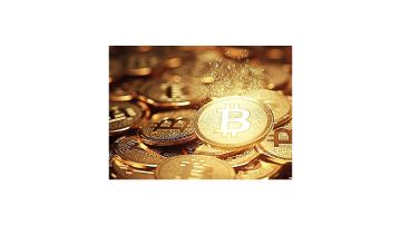 高星名臣的用途