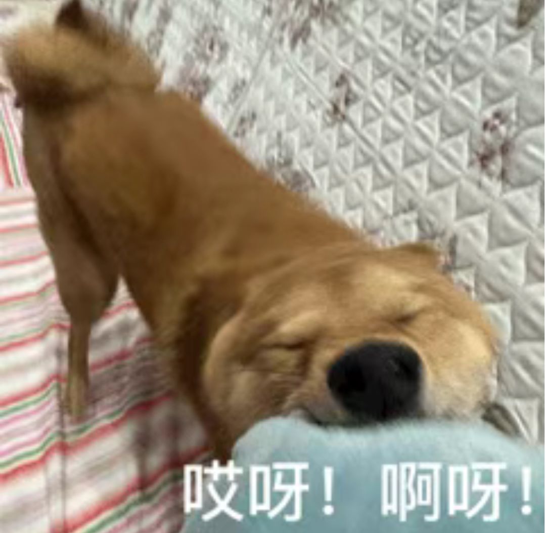 游戏公司已经嘎了🥹我们该何去何从 1