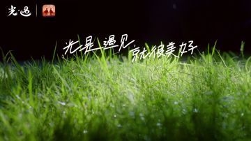 盛夏周年 影藏美好丨音乐节正片将于全平台上线