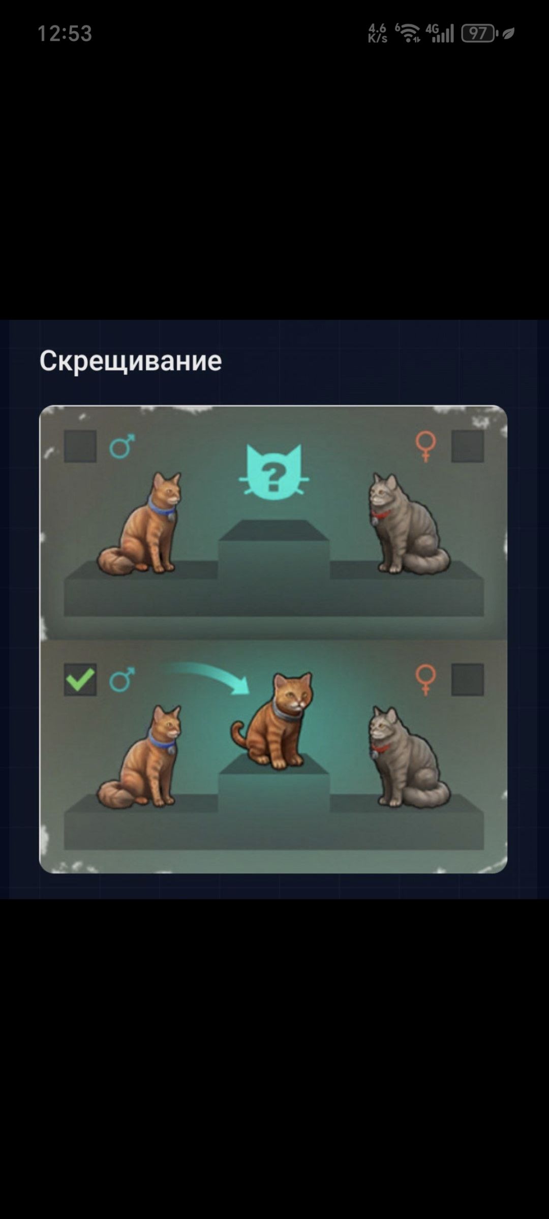 猫咪可不同品种杂交截图