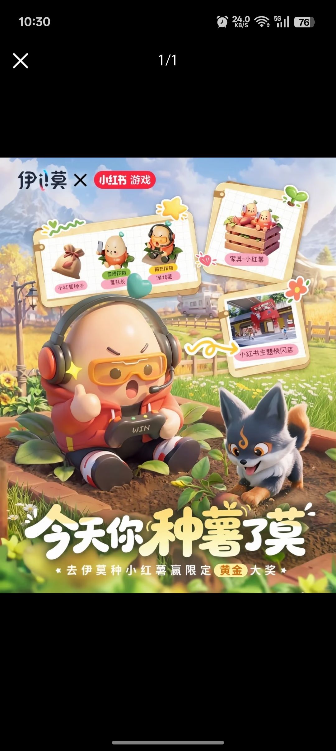 动态图片 2