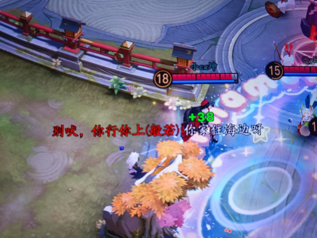 公主与骑士滚出扒鸡 6