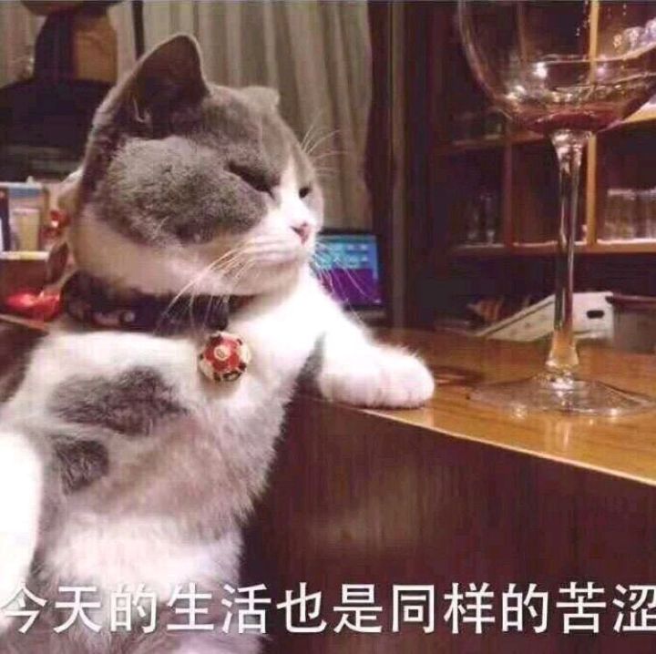 现在有什么知识类武学啊截图