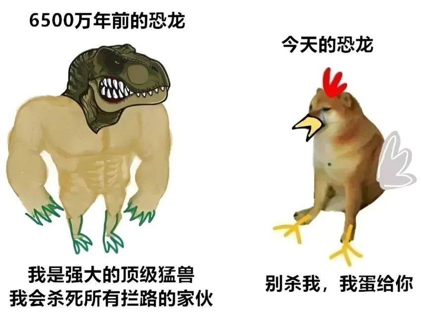 ✨今日份梗图分享第五十七期✨ 3
