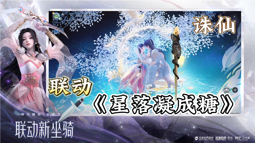 video-3358332
