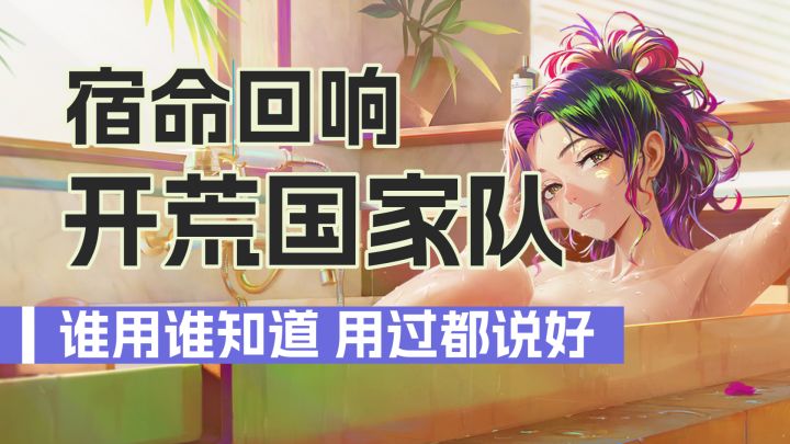 宿命回响：开荒国家队，谁用谁知道，用过都说好截图