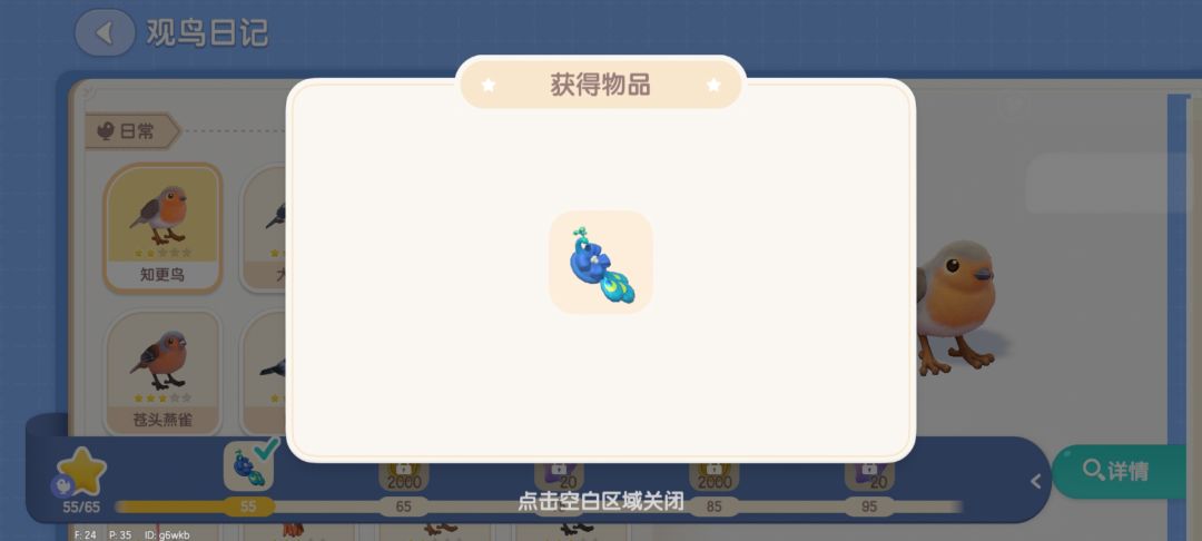 我的孔雀帽 3