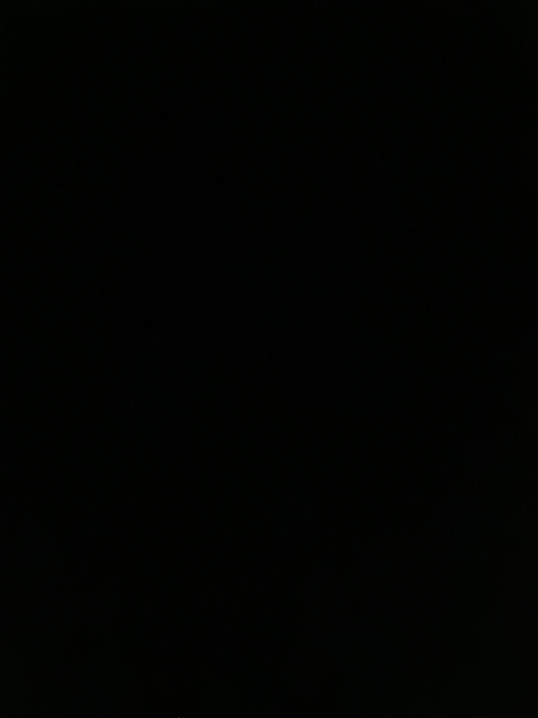 动态图片 8