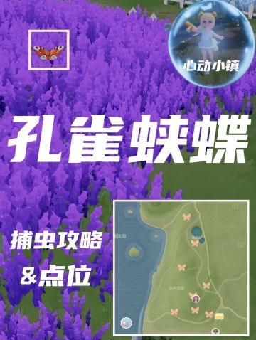 孔雀蛱蝶（5级）捕虫攻略&点位