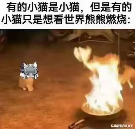 检测报告操作空间真大截图