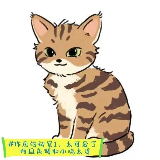 第二只猫猫美术设定及废案 4