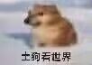 全卡牌13级纪念 2