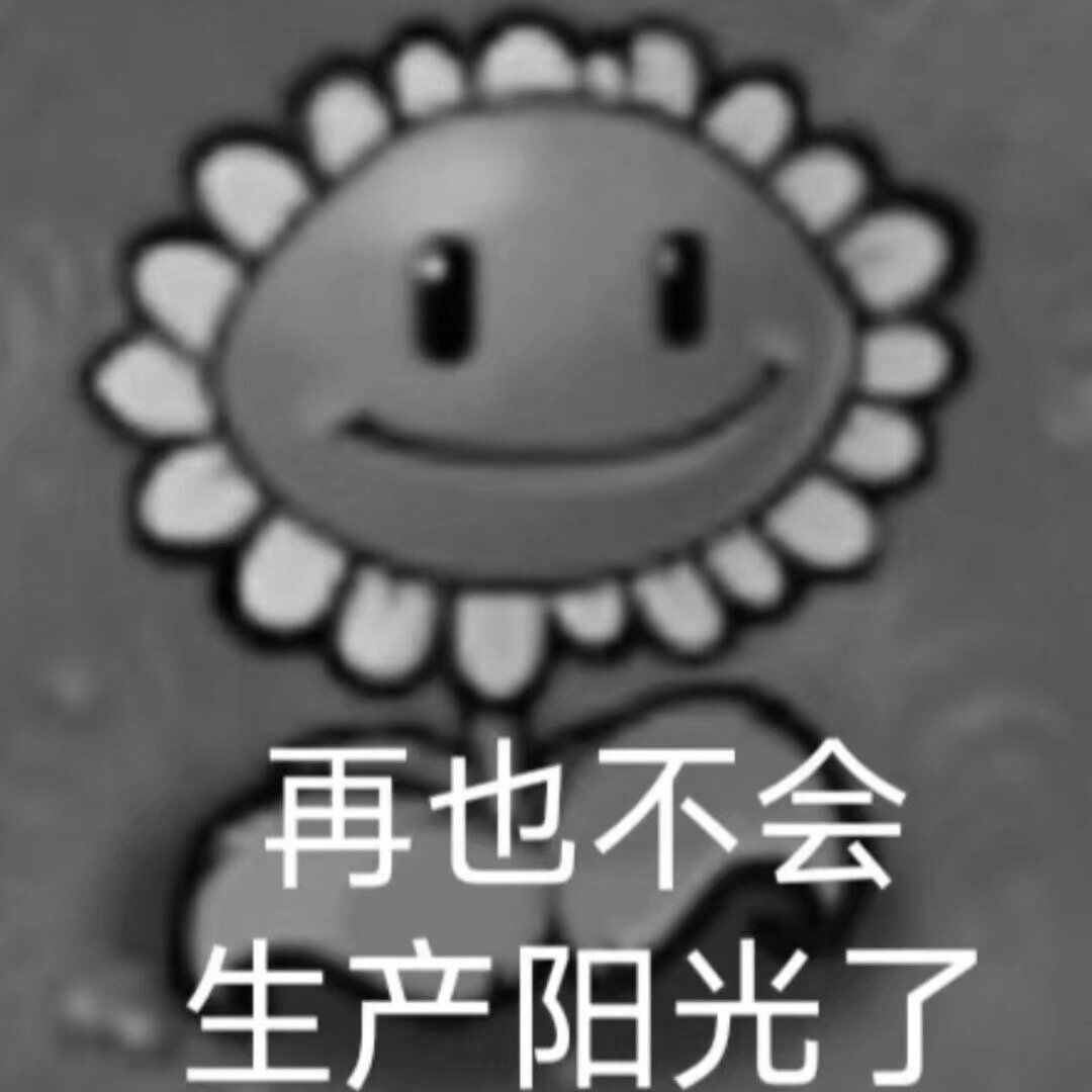 纯回坑 1