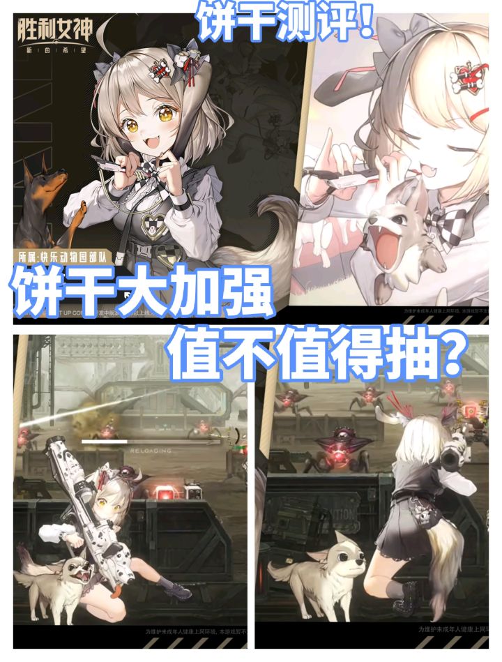 《胜利女神》饼干综合测评!饼干大加强!截图