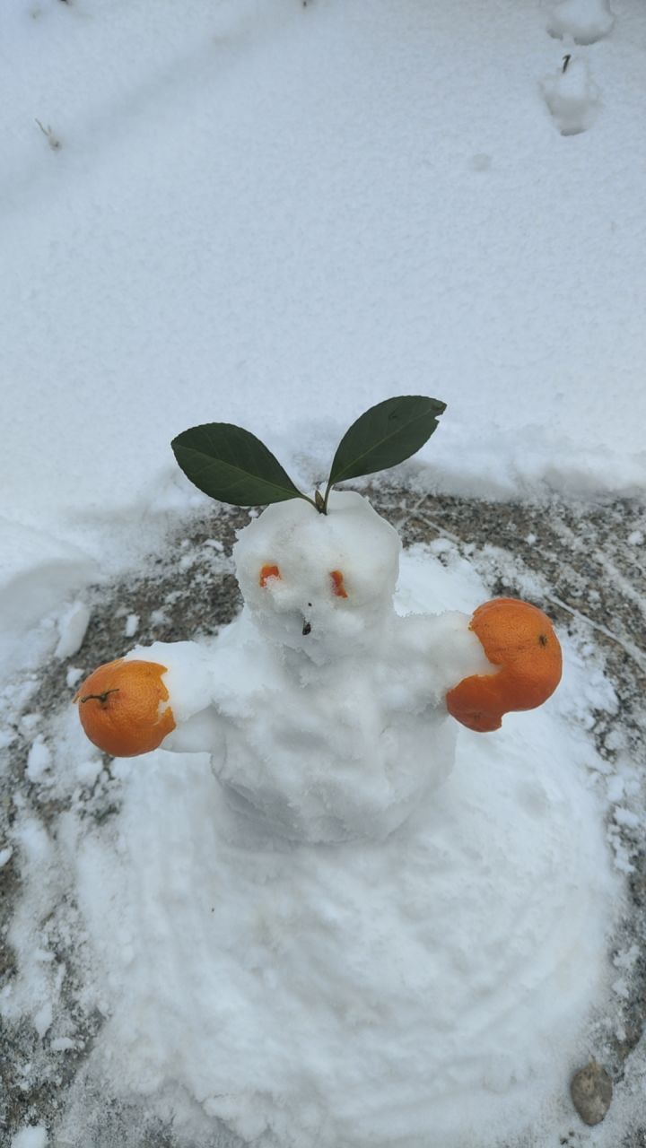 雪人铁衣截图