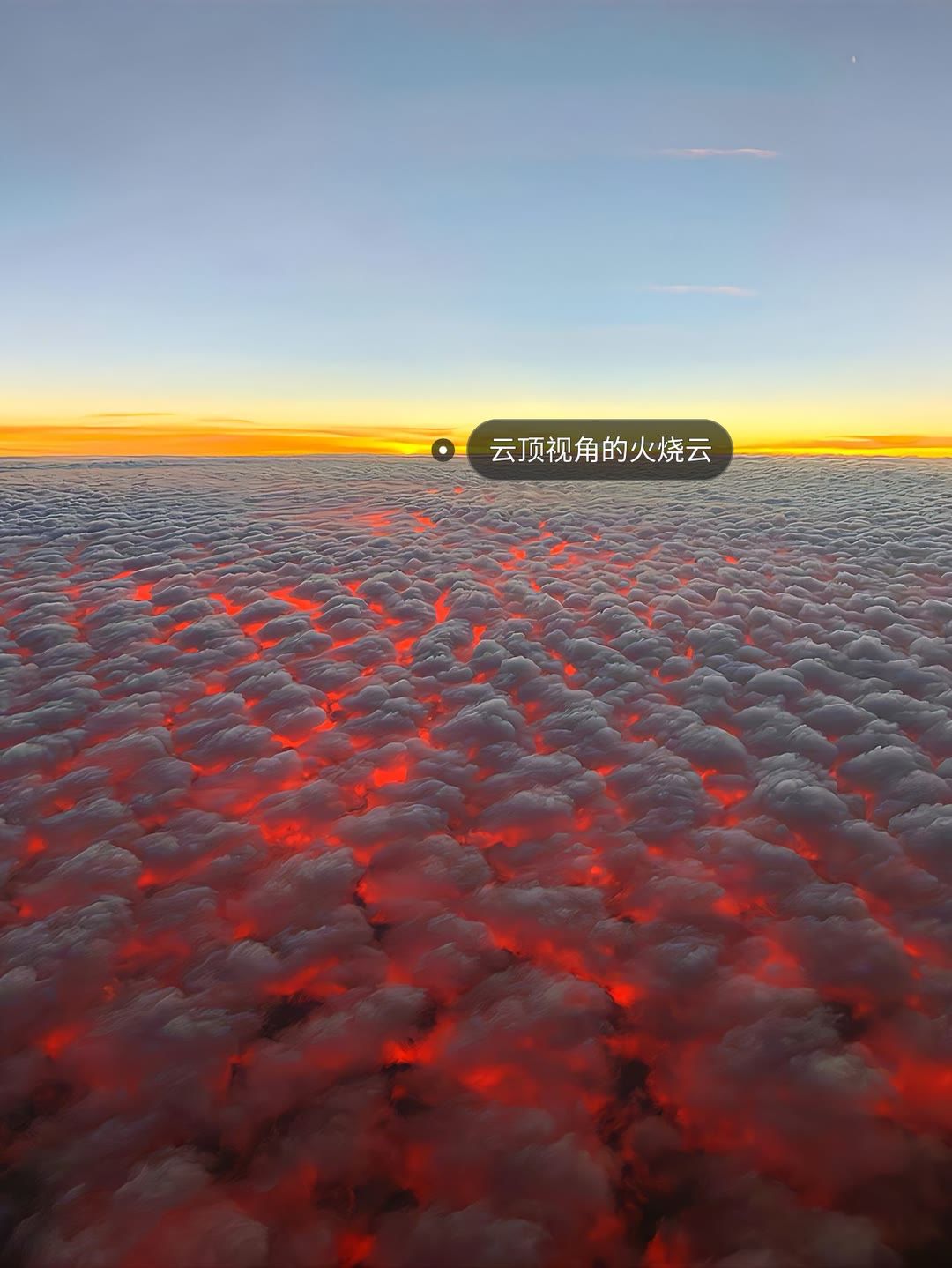 “上帝视角” 9