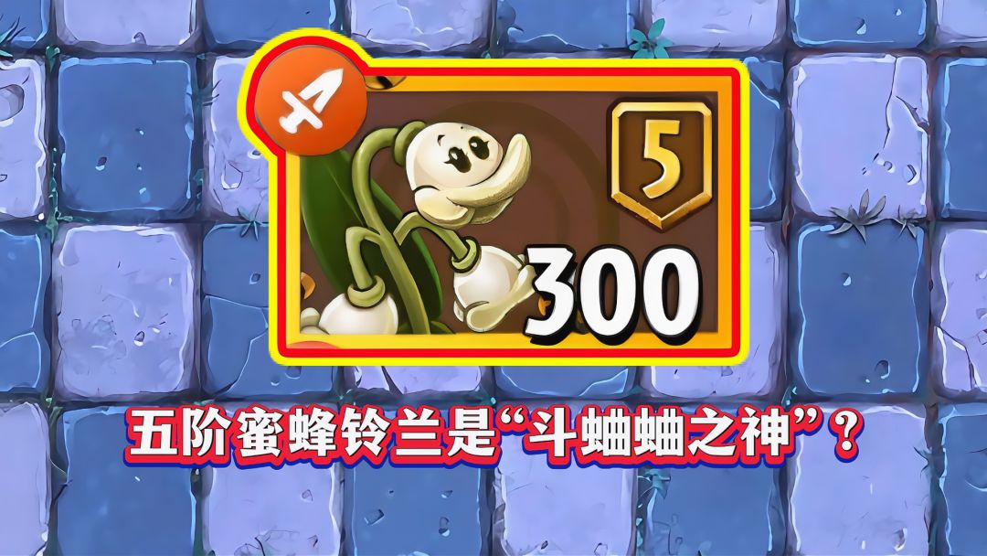 video-5346998