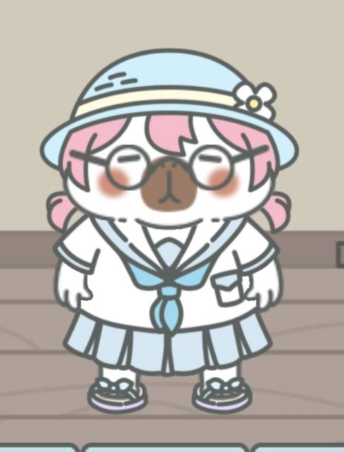宠物日常穿搭分享 3