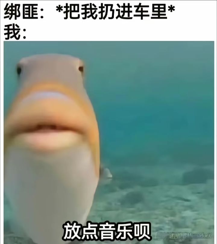 请问匹配是不是都人机截图