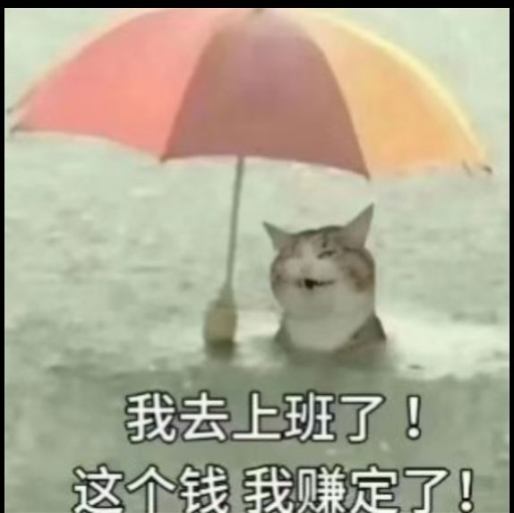 好耶，排行榜没了，离关服不远了吧，也不更新了，终于解脱了[表情_送花]截图