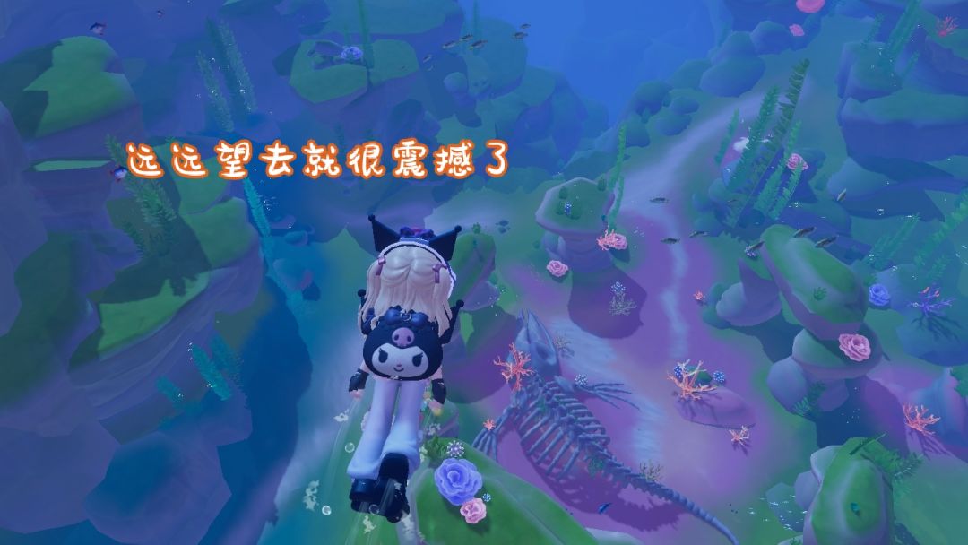 “一鲸落，万物生” 4