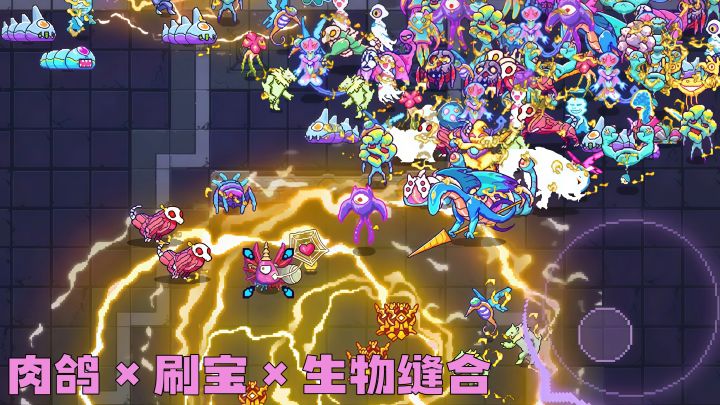 9.9元买断的器官编程肉鸽刷宝游戏~截图