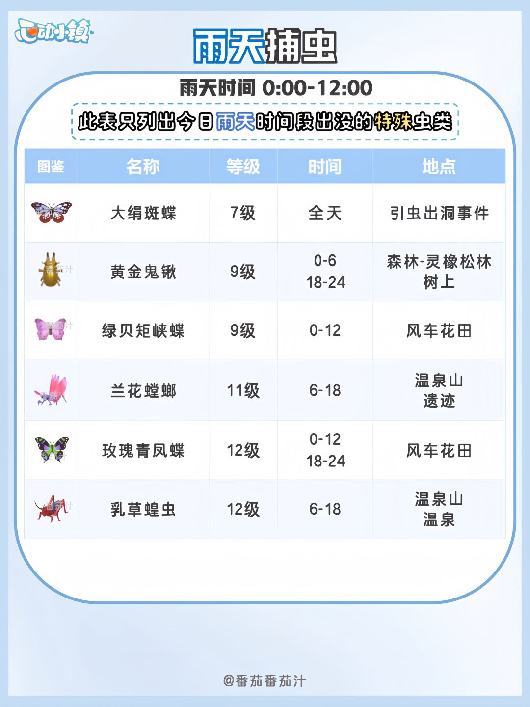 9月1日 下雨天必做攻略 5星彩光鸟 5