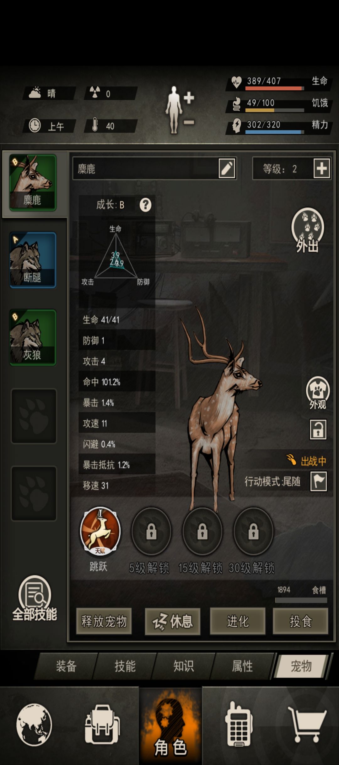 关于宠物 1
