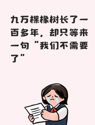 九万棵橡树长了一百多年,却只等来一句“我们不需要了”截图