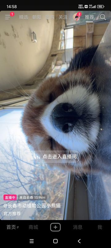 关于毕业和圣化