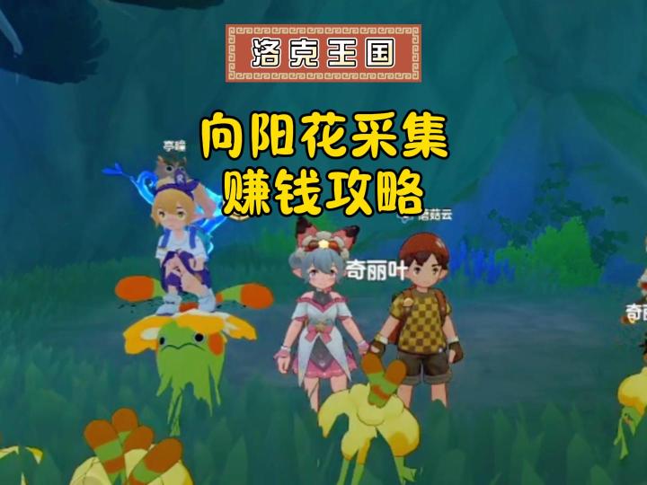 洛克王国向阳花采集赚钱攻略！截图