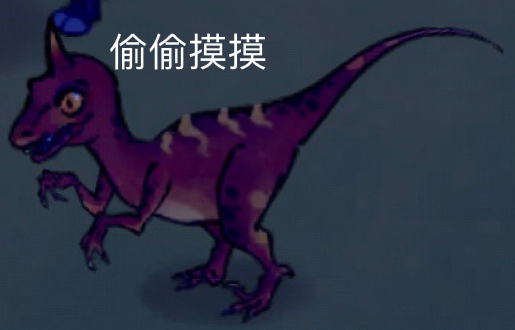 动态图片 3