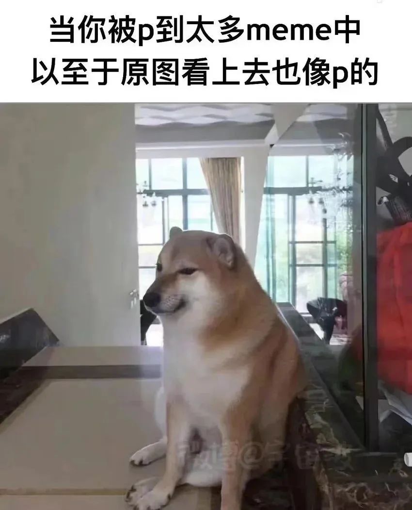 ✨今日份梗图分享第六期✨ 3