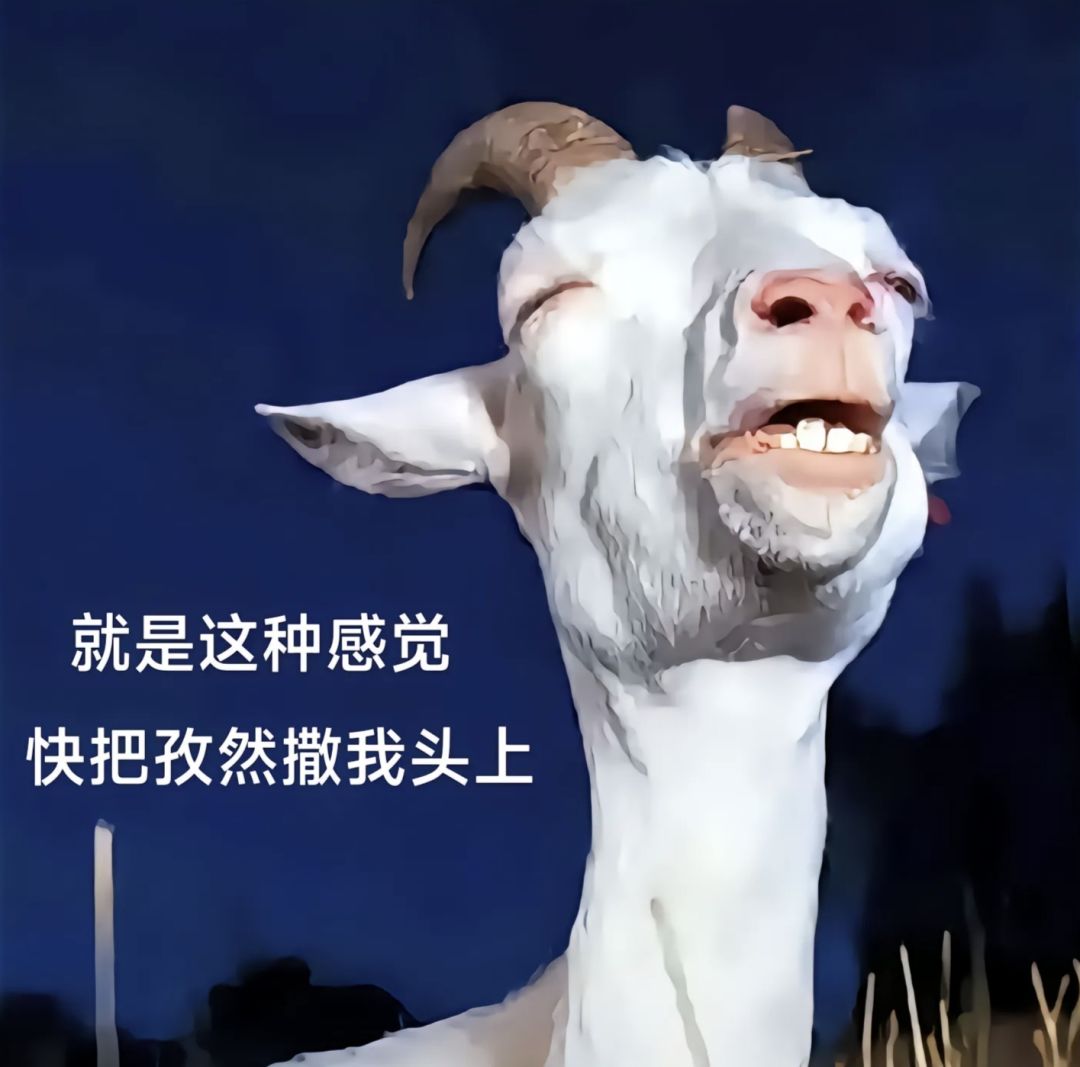 有生之年,这个游戏真的快出了啊 1