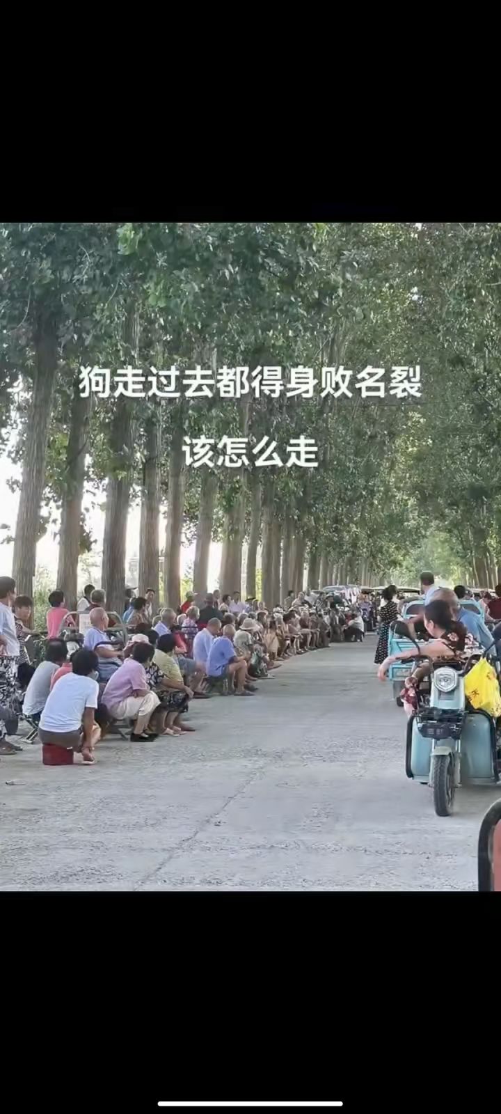 全图肝完有500抽吗截图