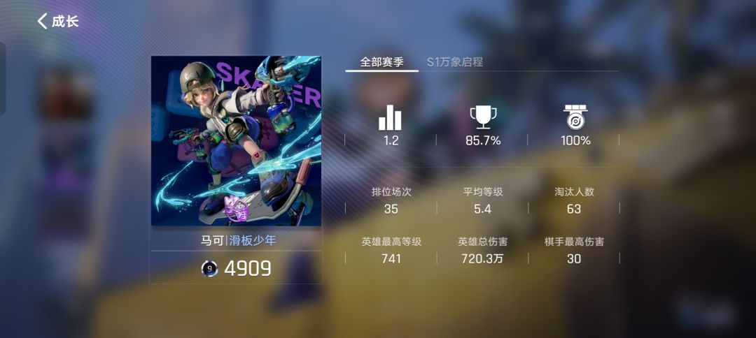 终于王者了 2