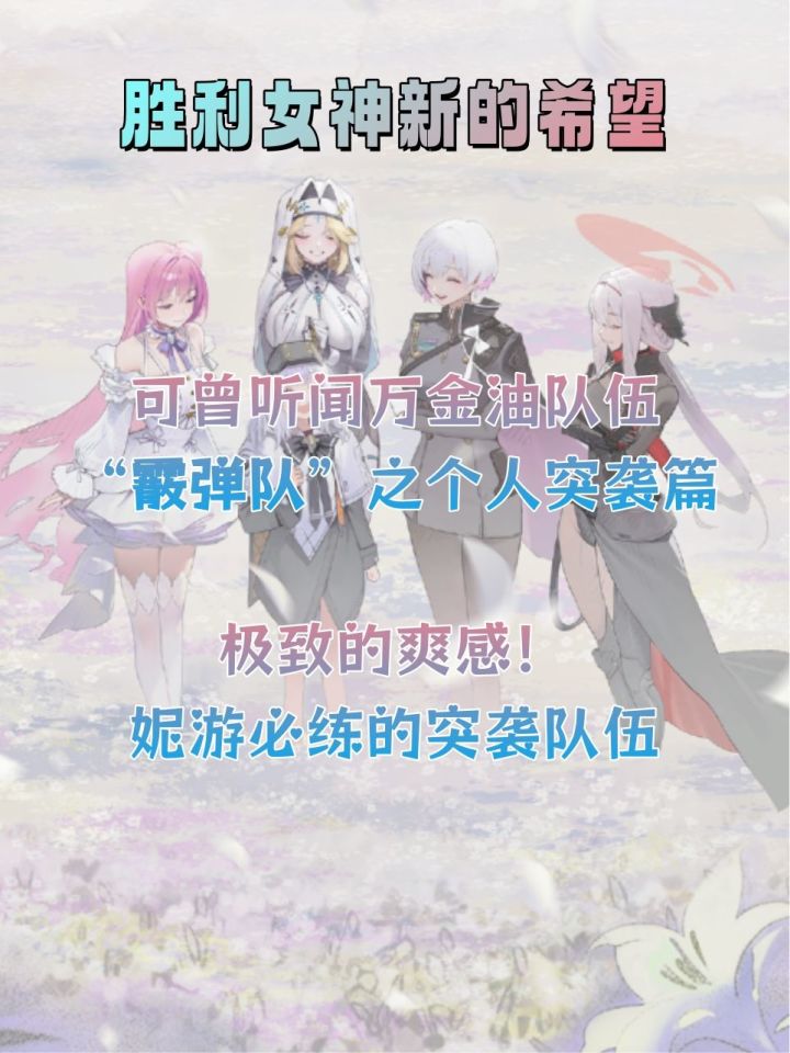 霰弹队个人突袭推荐队伍截图