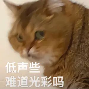 有大佬让蹭蹭这赛季的月鹭吗? 1