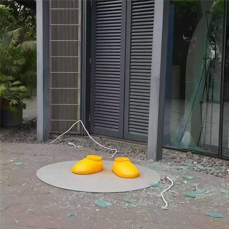 台风连企鹅都刮走了 2