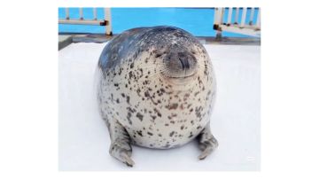 2025/12/04 WEEK2 26960 水帖