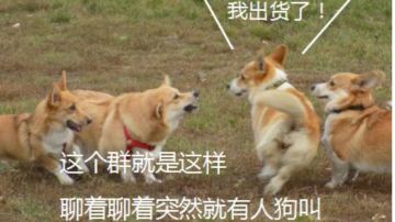 20240313 梅纳斯试炼平地3T富裕版