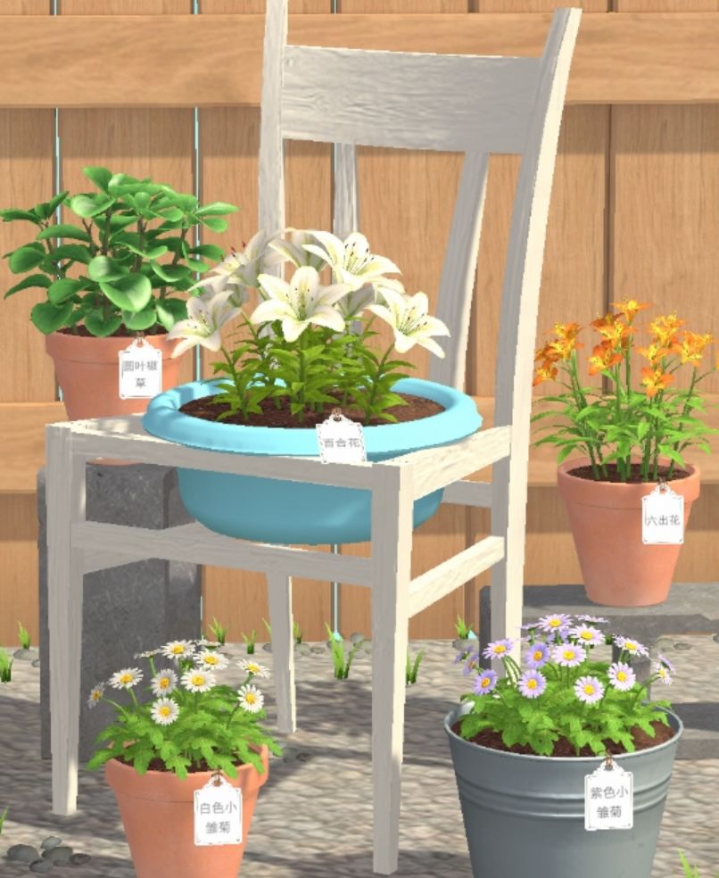 【种草了？哦不，是种花！】 3