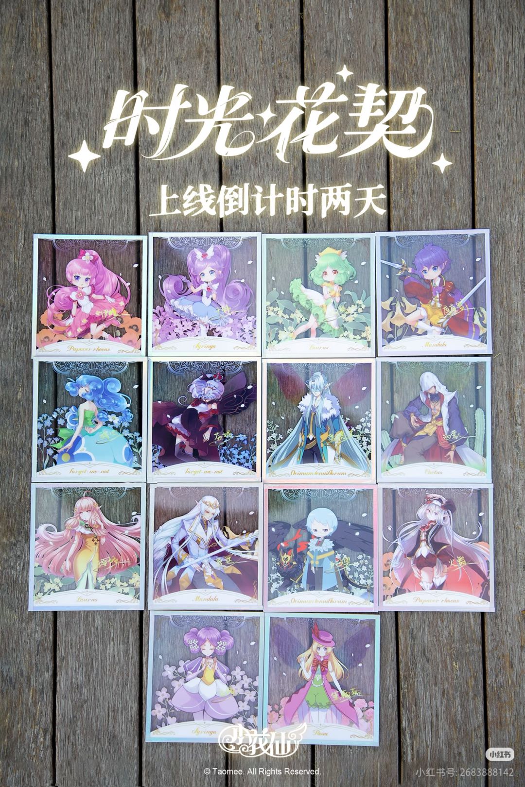 时光花契系列色纸盲盒–上线倒计时两天。 1