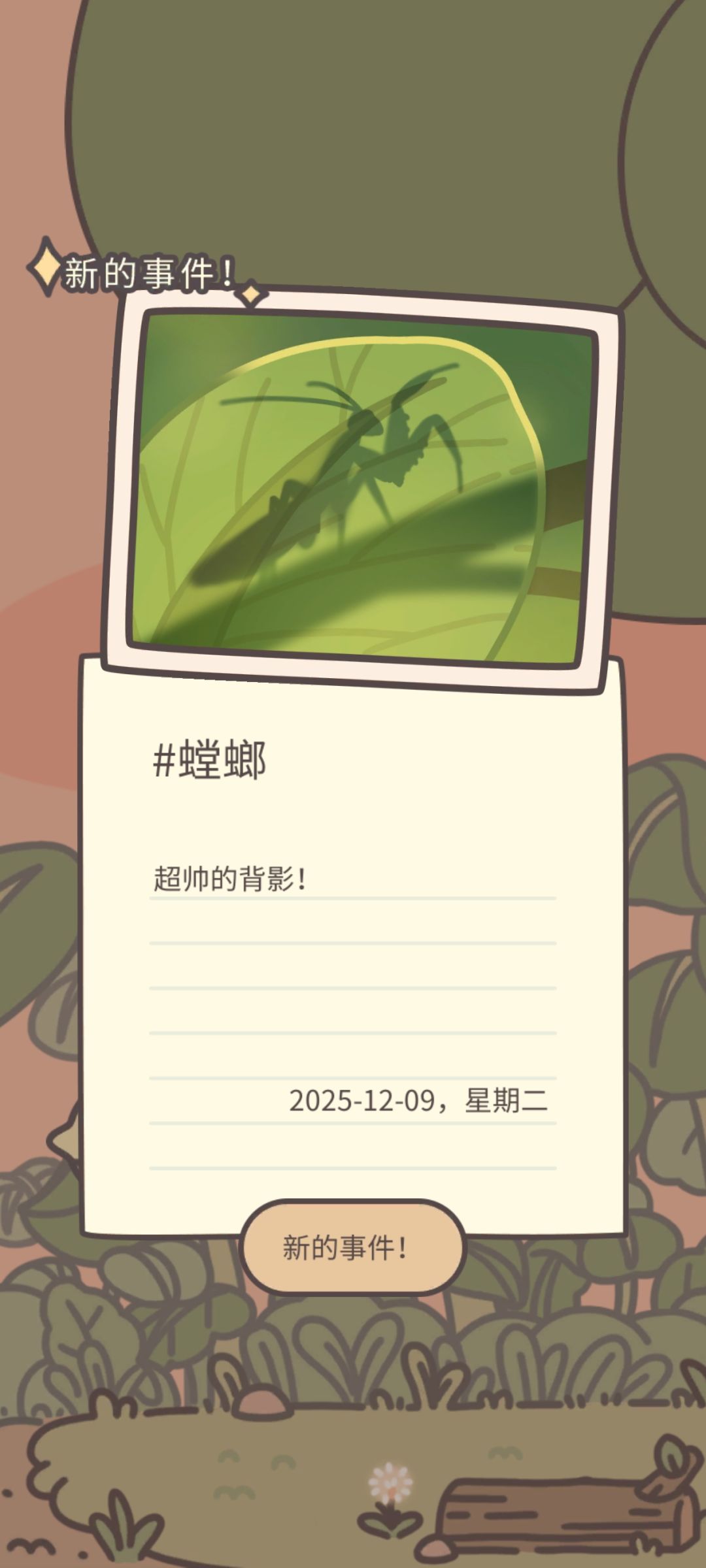 新昆虫哦,螳螂 2